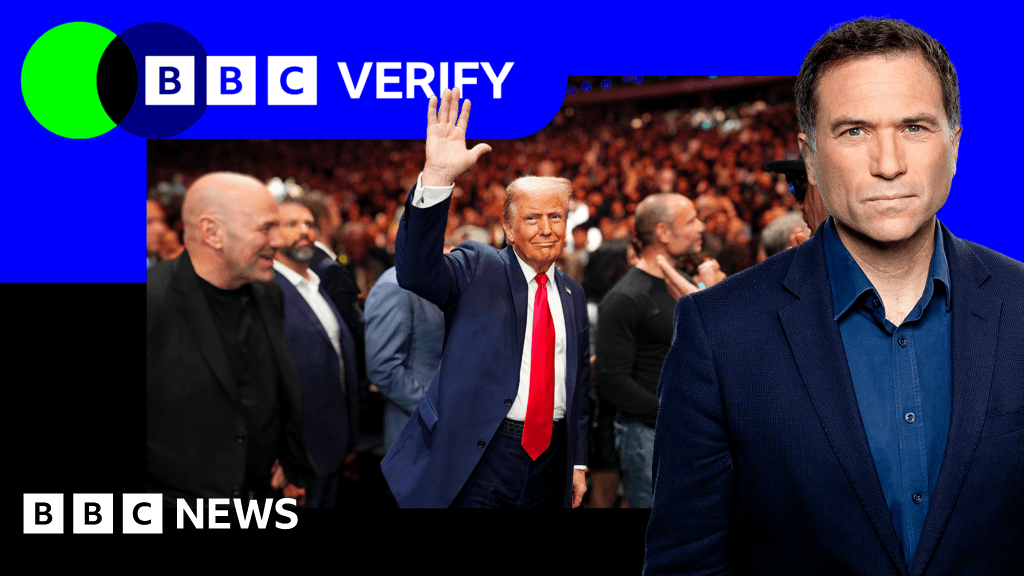 A satirical cartoon style illustration showing a split screen. On the left, a chaotic and colorful American political rally with people screaming. On the right, a grey and boring line graph that is completely flat. High contrast, cynical tone.