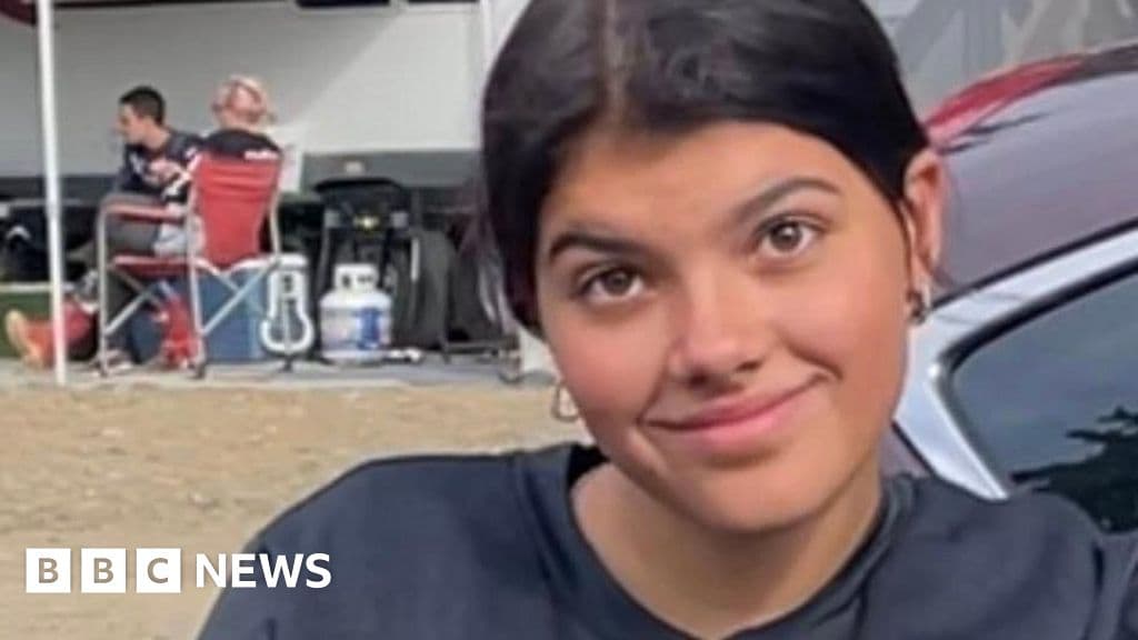 A cynical, minimalist editorial illustration of a tattered Canadian passport lying in the sand of a desolate Australian beach at dusk, with the shadow of a dingo looming over it, stylized in a sharp, high-contrast satirical newspaper aesthetic with muted, depressing tones.