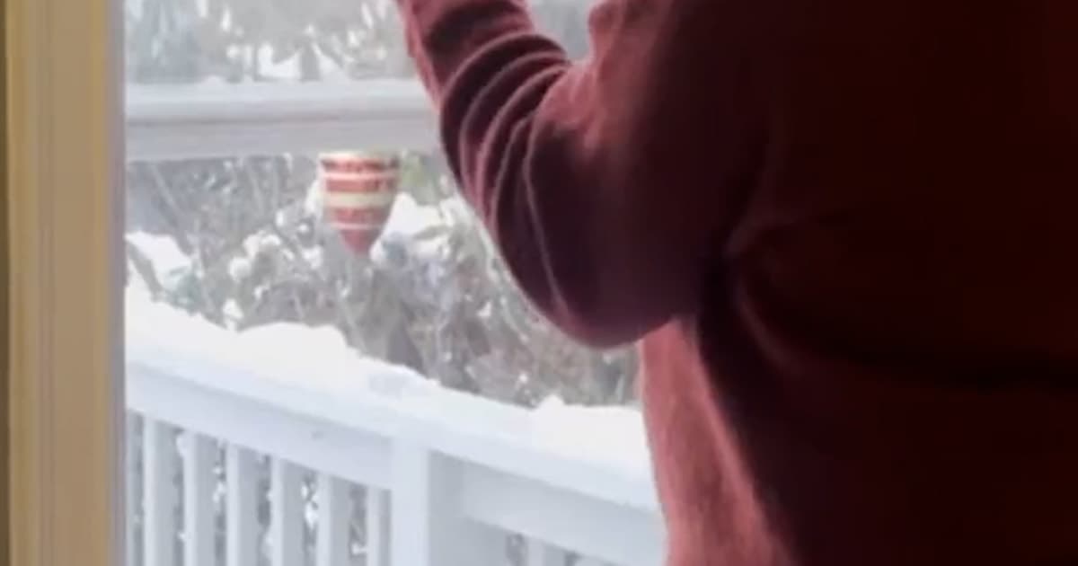 A hyper-realistic, cynical oil painting of a modern, sterile living room where a vacuous-looking influencer is dramatically opening a large window. Outside the window, the world is a chaotic, grey wasteland. The influencer is holding a smartphone on a tripod, smiling blankly. The lighting is cold and clinical, emphasizing the hollowness of the scene. Satirical, high-contrast, intellectual-grotesque style.