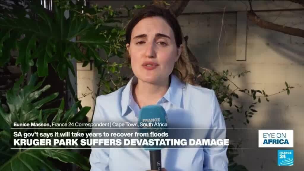 A satirical, watercolor-style illustration of a luxury safari jeep half-submerged in a muddy, flooding river in South Africa. A tourist in pristine khaki clothes stands on the roof of the jeep holding a camera, looking annoyed rather than scared. In the background, a hippo watches calmly. Stormy grey skies, cynical mood.