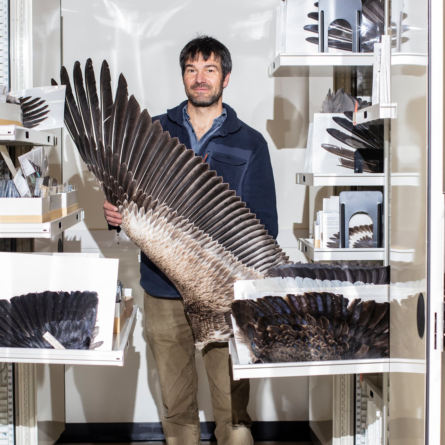 A highly detailed, cynical macro shot of a single, delicate filoplume feather, glowing with a faint, cold blue electronic aura, set against a background of a decaying, smog-filled industrial city with a tattered flag. The style is gritty, sharp, and satirical, emphasizing the contrast between biological perfection and human-made filth.