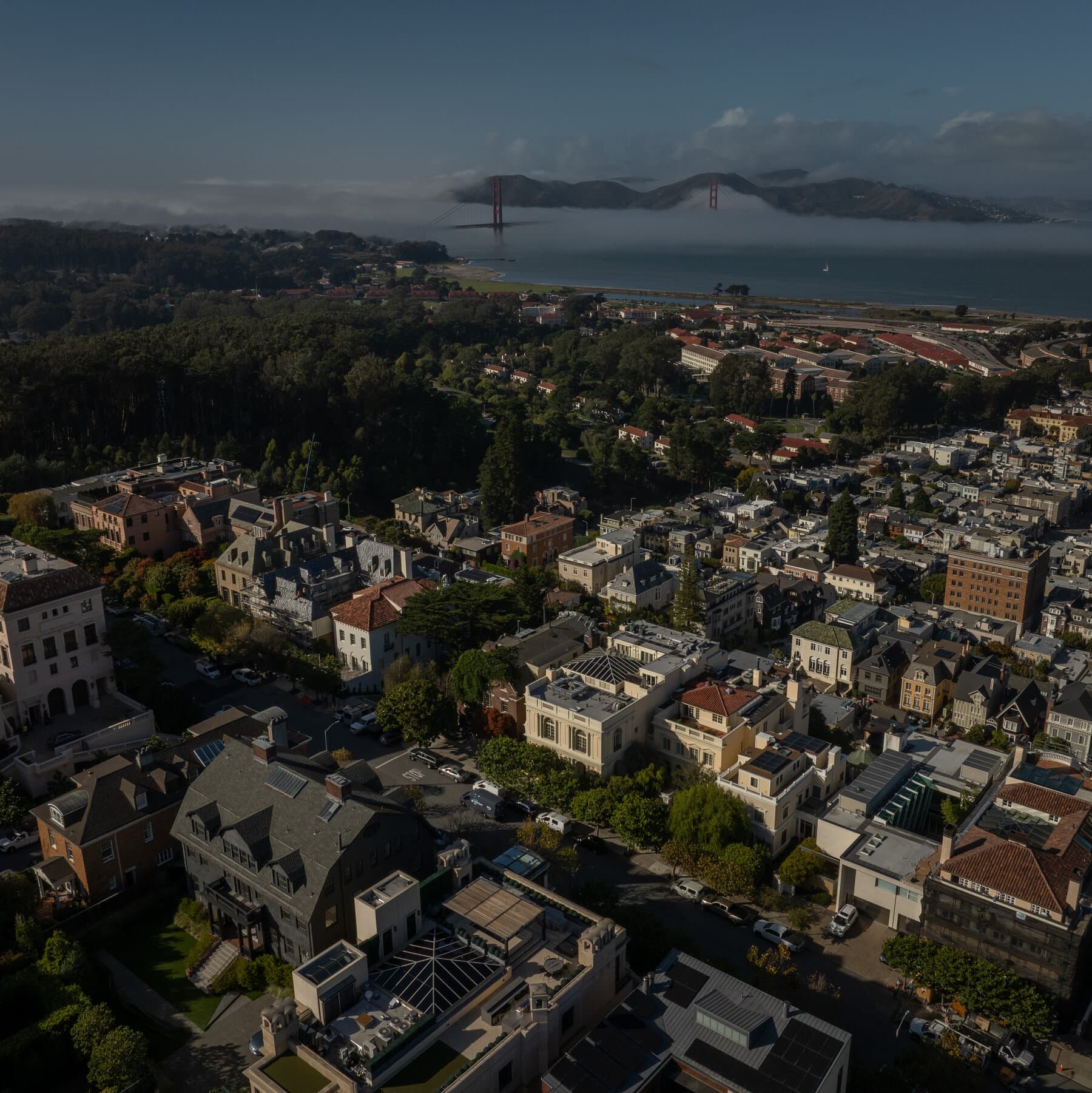 A satirical illustration of a California grizzly bear wearing a suit and tie, aggressively shaking a piggy bank shaped like a tech billionaire, while money burns in the background near the Golden Gate Bridge. The style should be gritty, cynical political cartoon ink drawing.