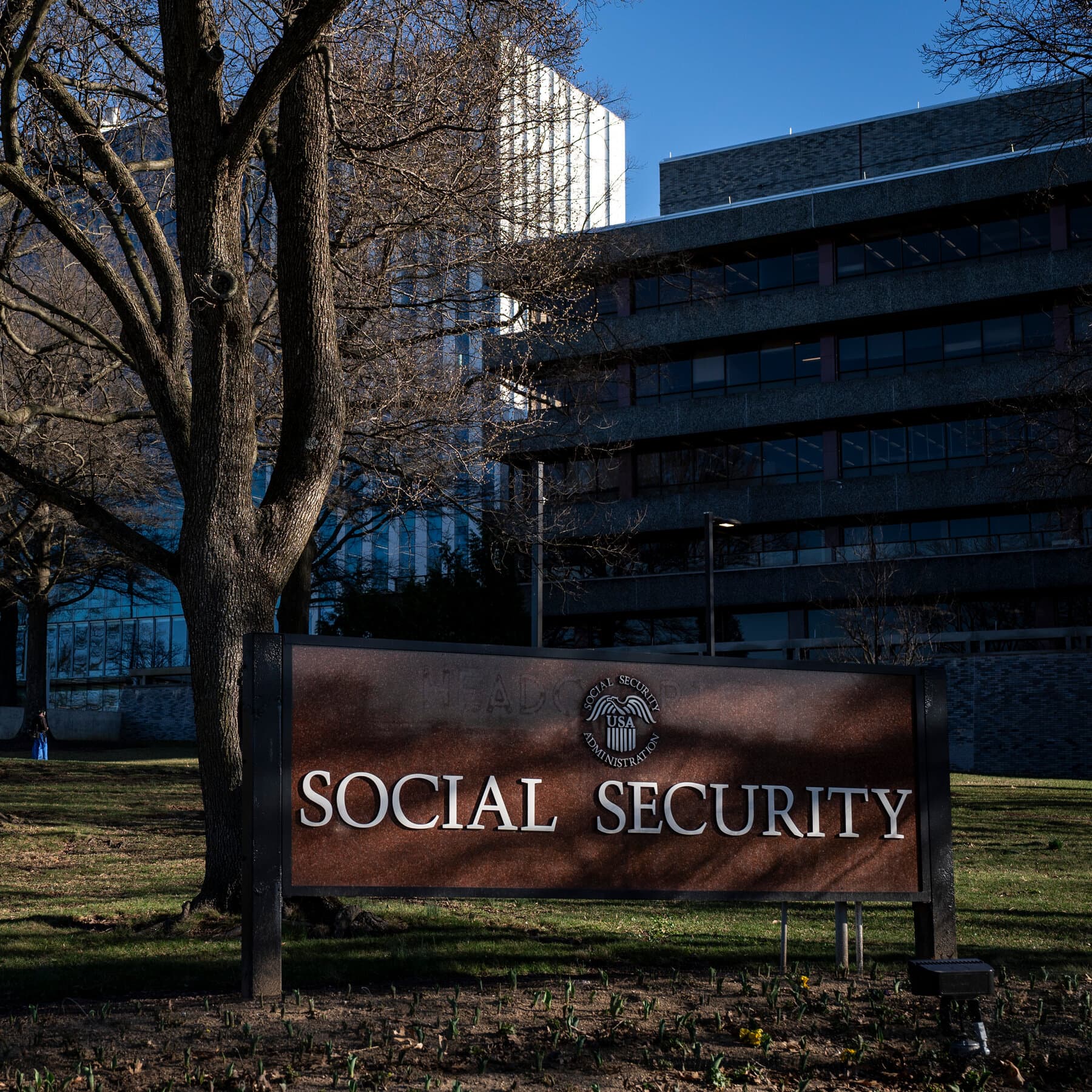 A cynical, dark-humored illustration of a futuristic office where tech-bros in hoodies are throwing folders labeled 'SOCIAL SECURITY' into a giant, open trash fire while a Shiba Inu dog in a gold suit watches with a blank, vapid expression. The background is a crumbling Washington D.C. monuments, and the lighting is a harsh, cold neon blue. High contrast, satirical art style.