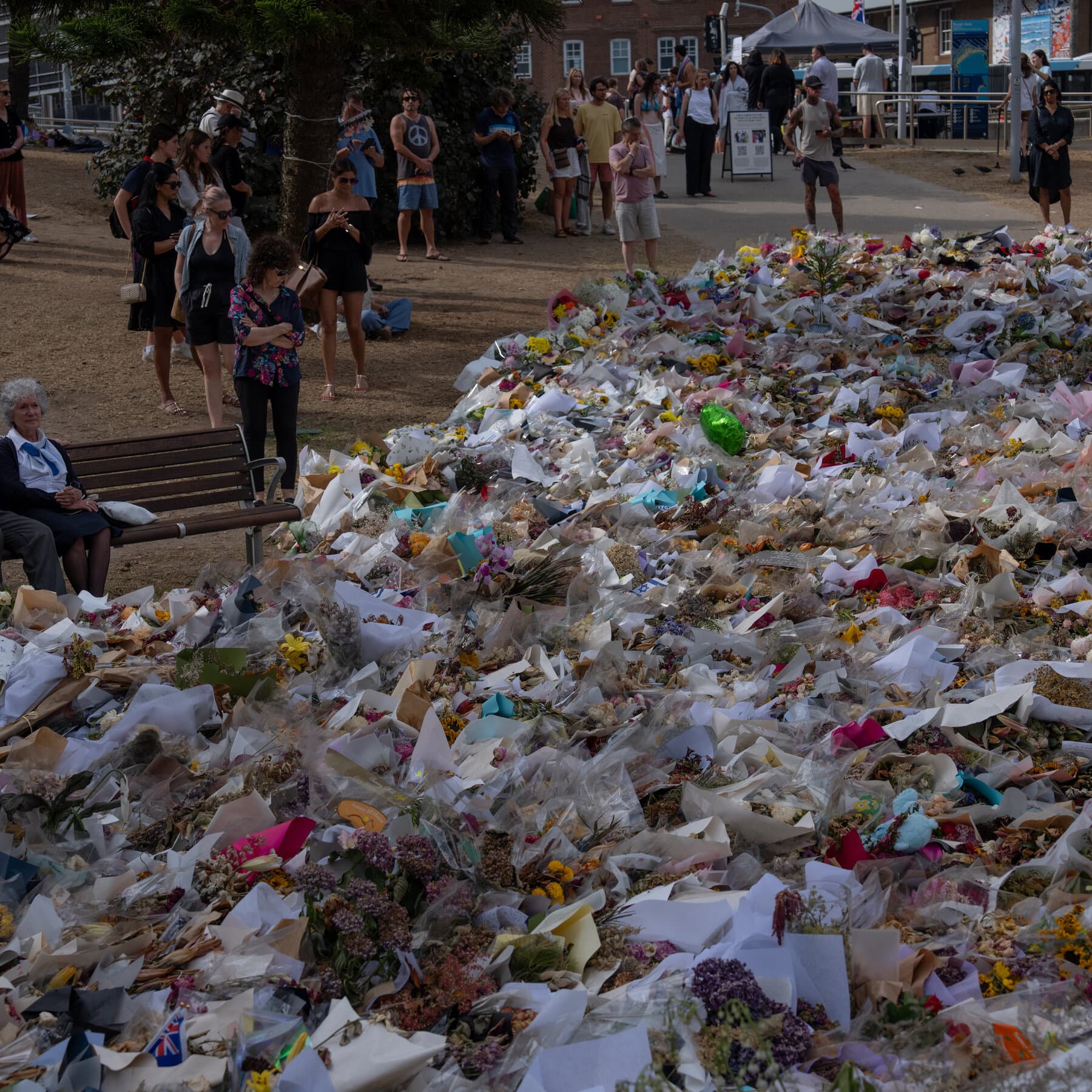 A photo of Australian Prime Minister Anthony Albanese furiously signing a document with a blur of motion, looking panicked and sweaty as he tries to govern effectively, while confused onlookers in the background hold signs that say 'What's the Rush?' and 'Wait for the Netflix Doc.'