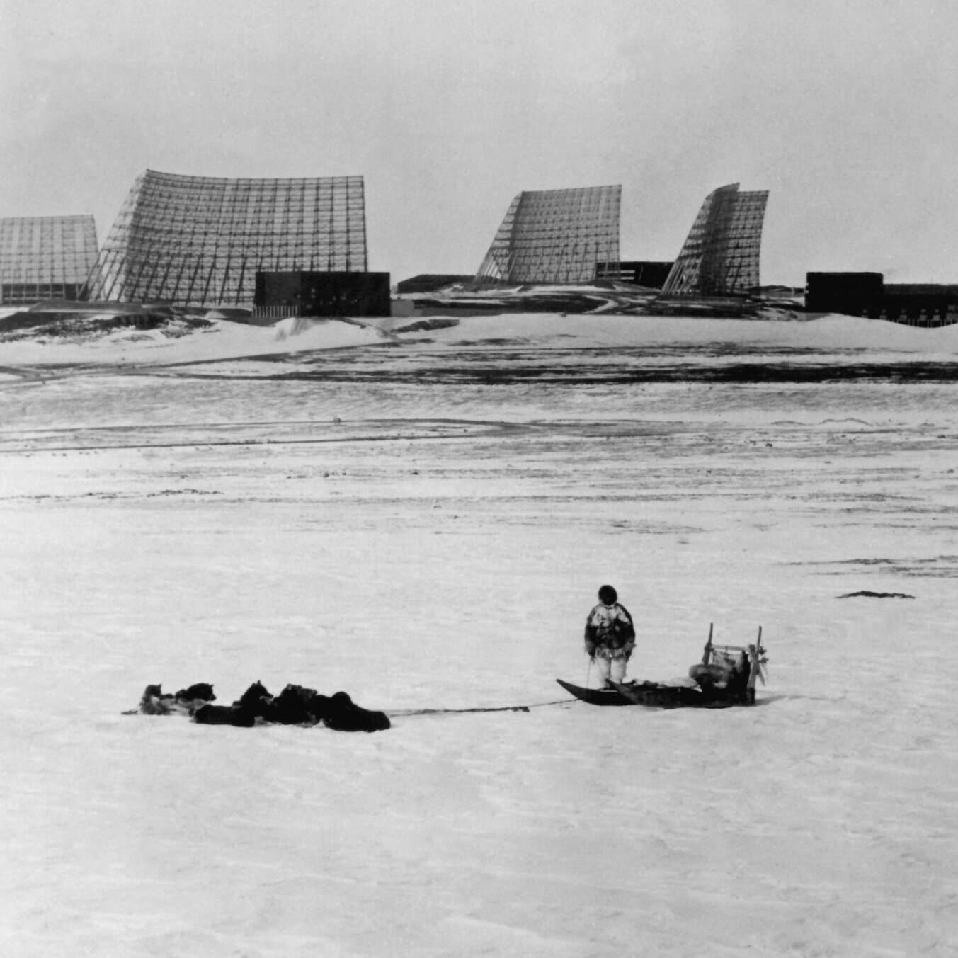 A satirical political cartoon showing a giant 'FOR SALE' sign stuck into a melting glacier in Greenland. A fat American businessman in a suit is trying to hand a bag of cash to a confused polar bear. In the background, ominous ships labeled 'China' and 'USA' circle the ice.