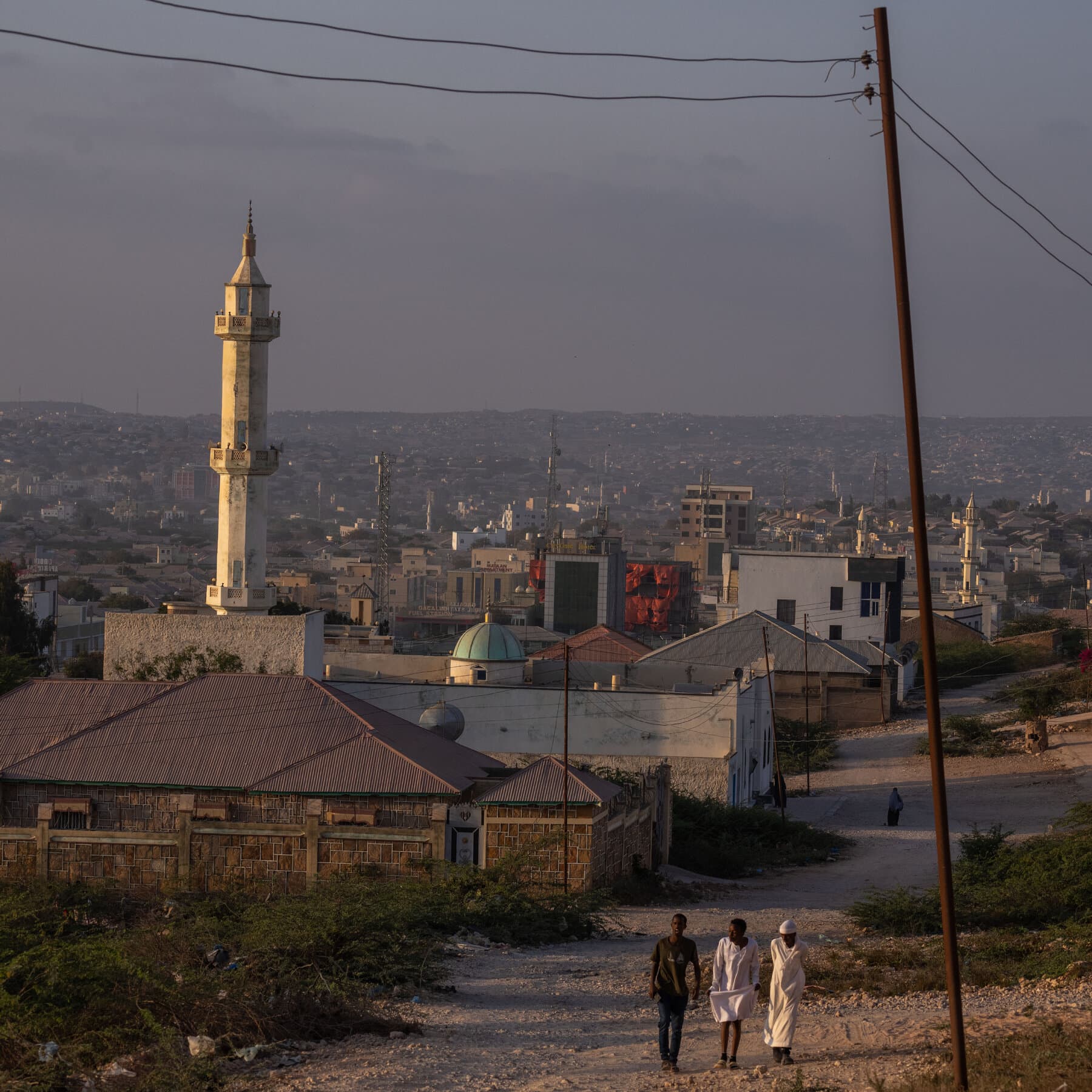 A gritty, cynical illustration style. A map of the Horn of Africa on a dusty table. Several hands in expensive business suits are reaching for it from different sides. One hand has an American flag cufflink, another has an Israeli flag cufflink. The map looks worn out. The lighting is dim, like a backroom poker game. No text.
