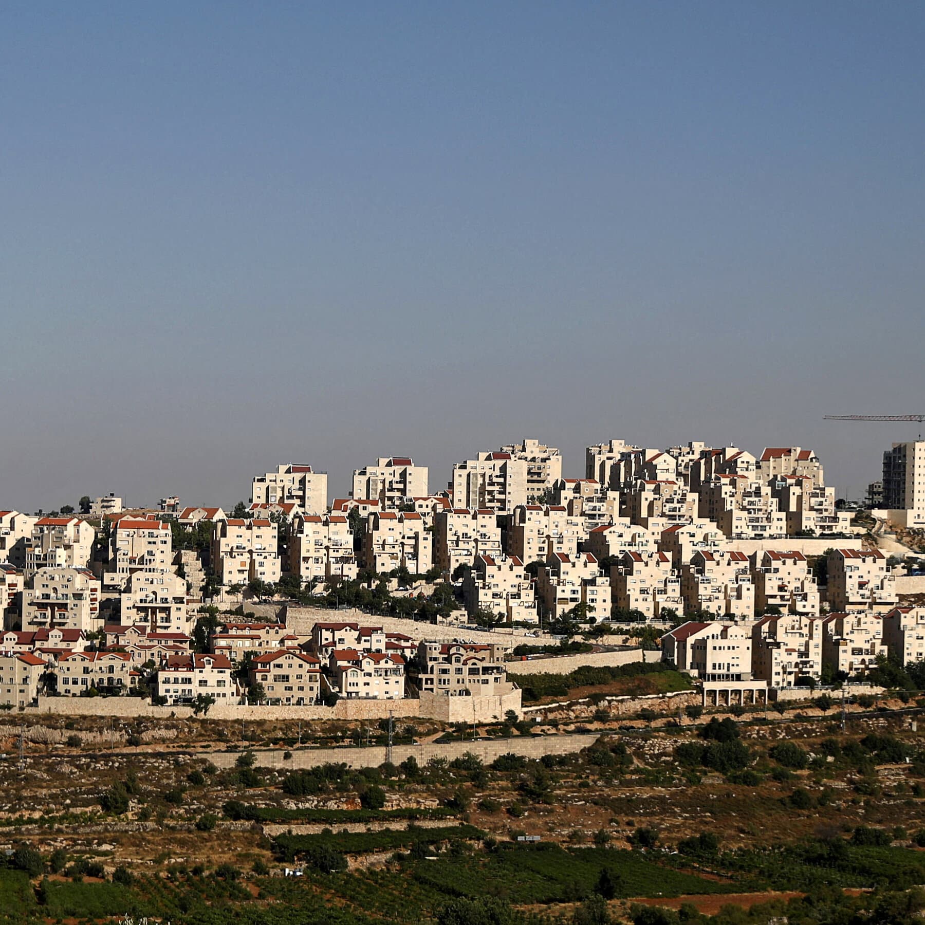 A gritty, high-contrast illustration of a dusty rubber stamp slamming down on a map of the West Bank, ink splattering like mud. The stamp reads 'WHO CARES' in bold letters. The background is gray and bleak, looking like an old office desk.