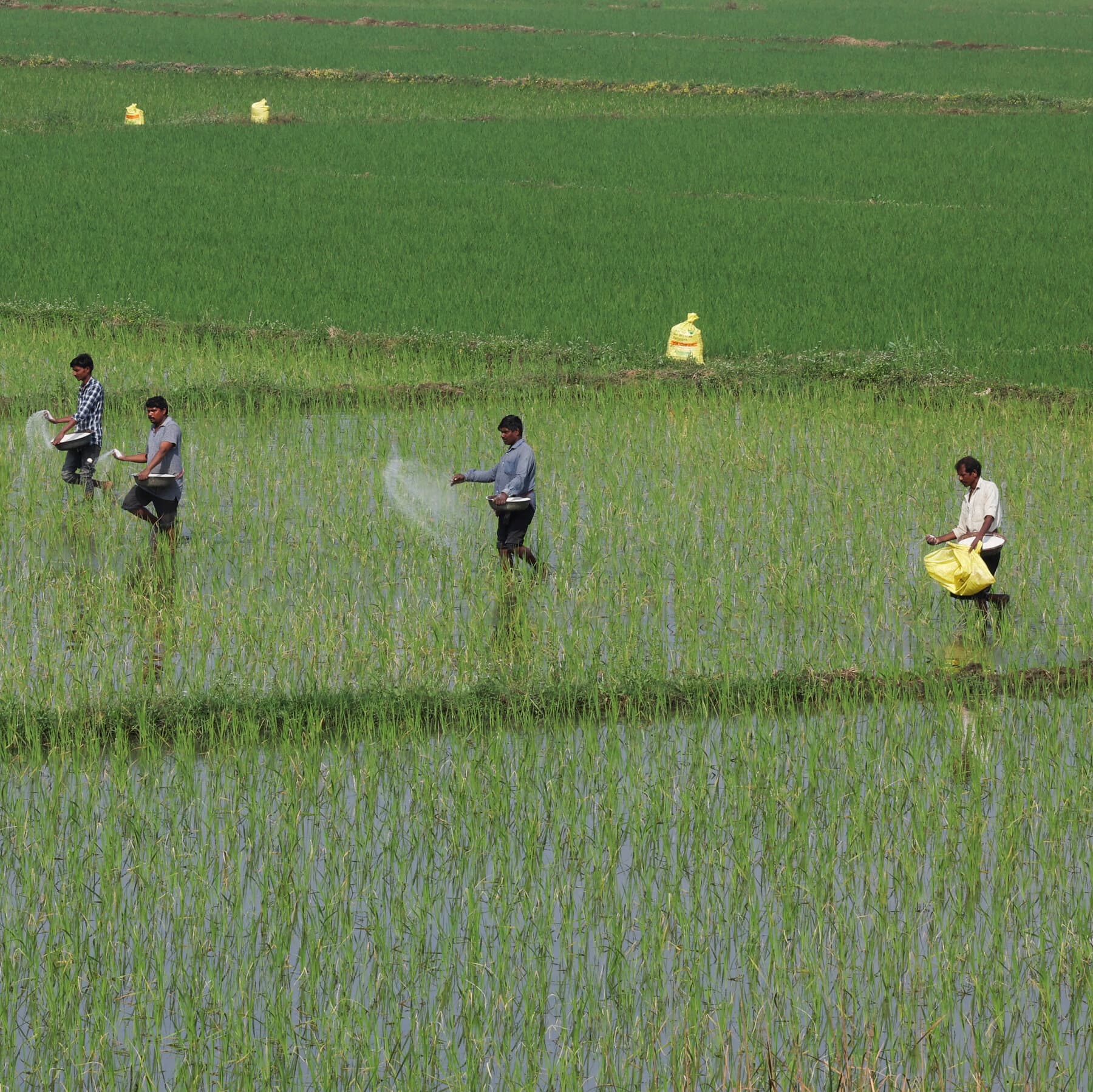 A surreal, cynical conceptual art style. A fancy dinner table setting with a white tablecloth. On the plate, instead of food, there is a pile of industrial fertilizer pellets mixed with sand. In the background, out of focus, large dark ships are navigating through a hazy, smoky sea. The lighting is dim and moody.